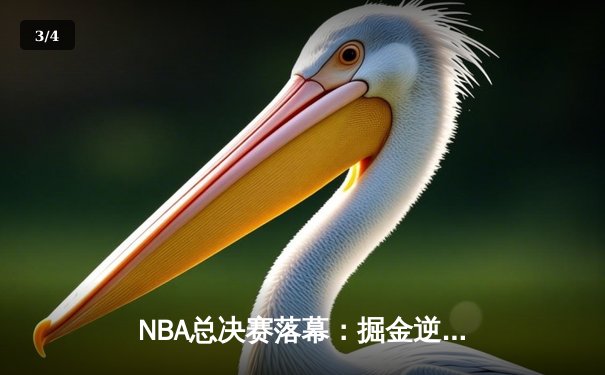 NBA总决赛落幕：掘金逆转热火首夺总冠军，约基奇全票当选FMVP - 3